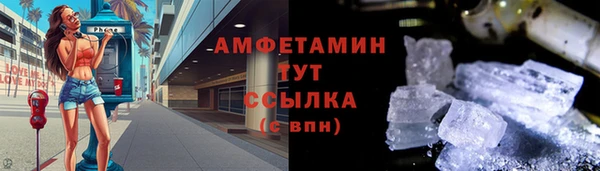 прущие грибы Алексин