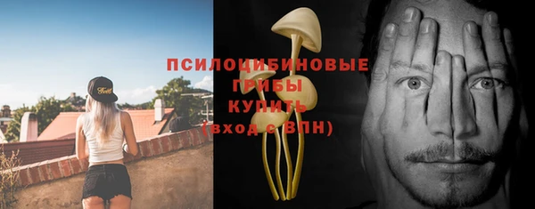 прущие грибы Алексин