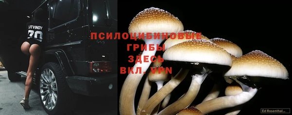 Альфа ПВП Алзамай