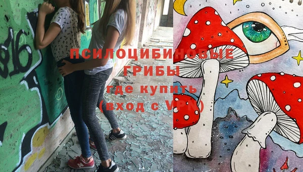 Альфа ПВП Алзамай