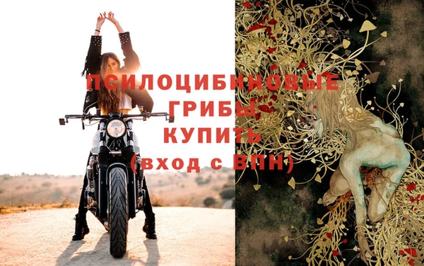 Альфа ПВП Алзамай