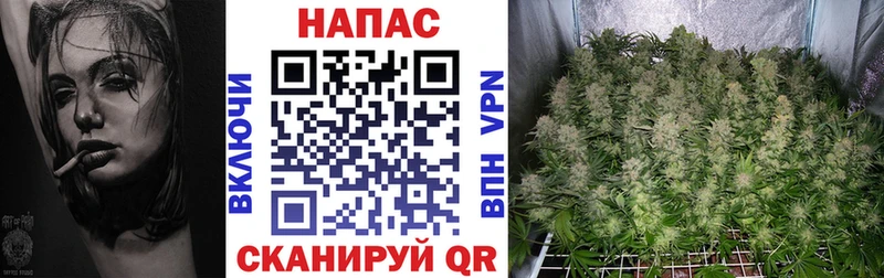 Конопля Ganja  Электрогорск 